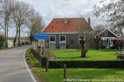 Ondanks dat Driemond in 1966 is 'opgeslokt' door de gemeente Amsterdam, is het gelukkig nog altijd een landelijk gelegen, idyllisch dorpje, net buiten de stedelijke bebouwing van Amsterdam-Zuidoost.