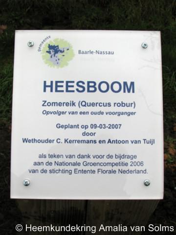 Heesboom, heemkundekring Amalia van Solms heeft in 2007 een 'nieuwe heesboom' geplant in de buurtschap Heesboom. Zie verder bij Naam.