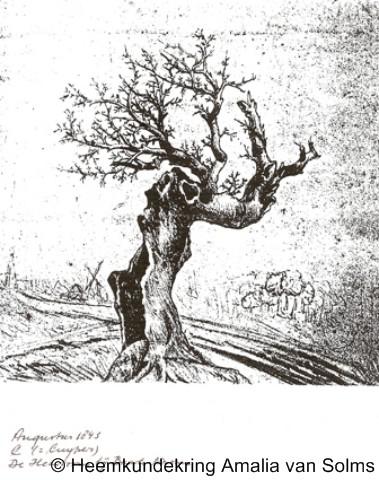 Heesboom, tekening van A.C.F.P. Cuypers uit 1843 van wat volgens hem 'de heesboom van de buurtschap Heesboom' was. Zie verder bij Naam.