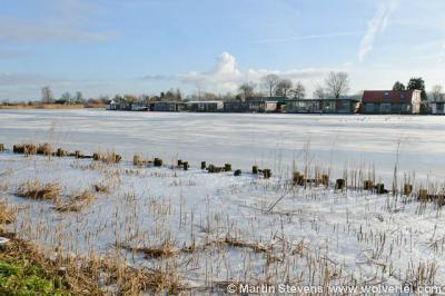 Gezicht op buurtschap De Horn in de winter, gezien vanaf de overkant van de Vecht ('s-Gravelandseweg)