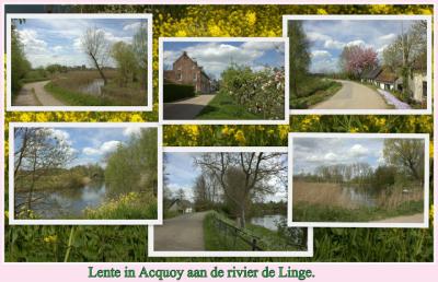 Het is altijd mooi in Akkooi! (zoals je Acquoy hoort uit te spreken). Bijvoorbeeld in de lente, zoals op deze 'ansichtkaart'. (© Jan Dijkstra, Houten)