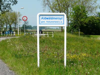 Aldwâldmersyl is een buurtschap in de provincie Fryslân, gemeente Noardeast-Fryslân. T/m 2018 gem. Kollumerland en Nieuwkruisland. De buurtschap valt onder het dorp Oudwoude. De buurtschap ligt buiten de bebouwde kom en heeft daarom witte plaatsnaamborden