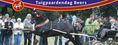 De Tuigpaardendag Beers is een concours op het rustieke Landgoed De Barendonk. In deze mooie omgeving worden in een sfeervolle ambiance aangespannen-paardenwedstrijden in verschillende rubrieken (tuigpaarden, Hackneys, Friezen en trekpaarden) verreden.
