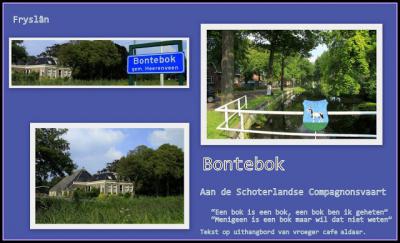 Bontebok, collage van dorpsgezichten (© Jan Dijkstra, Houten)