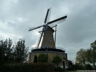 Het andere pronkstuk van Geervliet is de Bernissemolen. De huidige molen dateert uit 1851 maar staat op een zes eeuwen oud onderstel.
