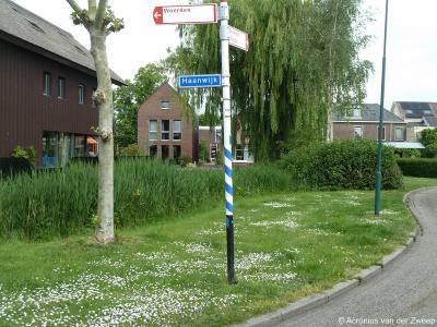 Haanwijk is een buurtschap en polder in de provincie Utrecht, in de regio Groene Hart, gemeente Woerden. De buurtschap Haanwijk heeft geen plaatsnaamborden, zodat je slechts aan de gelijknamige straatnaambordjes kunt zien dat je er bent aangekomen.