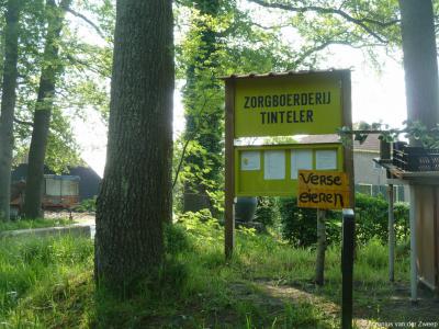 Op Zorgboerderij Tinteler in buurtschap Hell kunnen de deelnemers de dieren en de moestuin verzorgen, eieren rapen, en hout zagen en kloven.