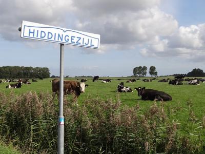 Hiddingezijl is een buurtschap in de provincie Groningen, gem. Het Hogeland. T/m 1989 gem. Baflo. In 1990 over naar gem. Winsum, in 2019 over naar gem. Het Hogeland.(©https://groninganus.wordpress.com/2019/09/14/van-baflo-naar-leens-op-open-monumentendag/