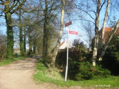 Kulsdom is een buurtschap in de provincie Gelderland, in de streek Achterhoek, gemeente Berkelland. T/m 2004 gemeente Borculo. De buurtschap Kulsdom valt onder het dorp Geesteren.