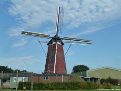 Dé blikvanger van buurtschap Lintelo is de fraaie Wenninkmolen. De molen is in 1860 gebouwd voor de familie Wennink, wat de naam van de molen verklaart. Bezichtiging en rondleidingen: vrijwel elke zaterdagmiddag van 13:30-17:00 uur.