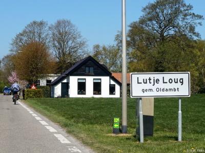 Lutje Loug is een buurtschap in de provincie Groningen, in de streek en gemeente Oldambt. T/m 1989 gemeente Midwolda. In 1990 over naar gemeente Scheemda, in 2010 over naar gemeente Oldambt. De buurtschap valt onder het dorpsgebied van Oostwold.