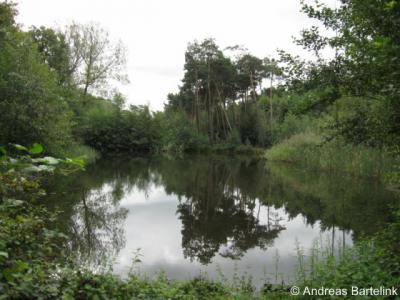 Oldenzaal, ecologische verbindingszone Jufferbeek aan de Visschedijkweg