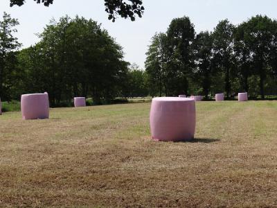 Oostindie, juni 2016. Hopelijk een nieuwe trend: roze wikkelfolie voor hooibalen. Een deel van de opbrengst komt ten goede aan Pink Ribbon (zie www.melkvee.nl/artikel/64493-60.000-roze-balen-gewikkeld-voor-pink-ribbon).(©https://groninganus.wordpress.com)