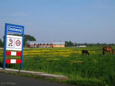 Oostwold is een dorp in de provincie Groningen, in de streek en gemeente Westerkwartier. T/m 2018 gemeente Leek.