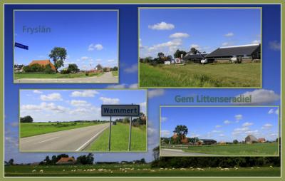 Wammert is een buurtschap in de provincie Fryslân, gemeente Leeuwarden. T/m 1983 gemeente Baarderadeel. In 1984 over naar gemeente Littenseradiel, in 2018 over naar gemeente Leeuwarden. De buurtschap valt onder het dorp Easterlittens. (© Jan Dijkstra)