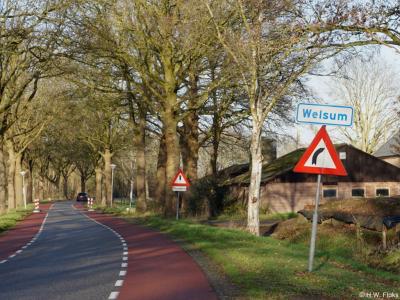 Welsum is een buurtschap in de provincie Overijssel, in de streek Salland, gemeente Dalfsen. In 2017 heeft de buurtschap eindelijk plaatsnaamborden gekregen. Daar heeft de hele buurtschap dan ook een hele dag feest om gevierd.