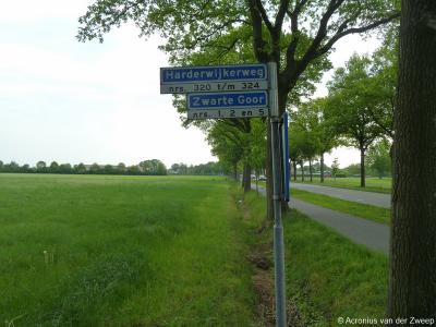 Zwarte Goor is een buurtschap in de provincie Gelderland, in de streek Veluwe, gemeente Nunspeet. T/m 1971 gemeente Ermelo. De buurtschap ligt aan de gelijknamige weg. Ook de panden Harderwijkerweg 320 t/m 324 vallen er nog onder.
