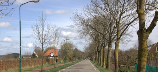 Meestal is het zo rustig in buurtschap Breudijk als hier op de foto, maar als er een evenement is op het nabijbelegen landgoed van Kasteel De Haar in Haarzuilens, kan het er druk zijn met verkeer dat daar naartoe gaat of er vandaan komt.