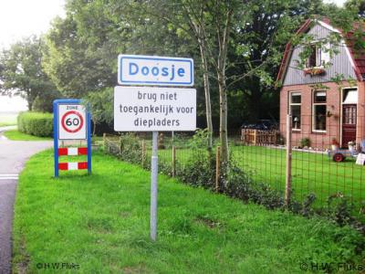 Doosje komt met die naam pas in 1867 voor het eerst in documenten voor. Voorheen heette deze buurtschap Zomerdijk, naar de ligging aan de gelijknamige dijk.