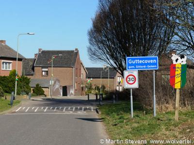Guttecoven is een dorp in de provincie Limburg, in de regio Westelijke Mijnstreek, gemeente Sittard-Geleen. T/m 1981 gemeente Limbricht. In 1982 over naar gemeente Sittard, in 2001 over naar gemeente Sittard-Geleen.