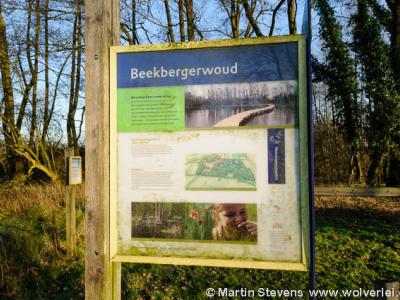 Sinds 2006 zet Natuurmonumenten zich in om het Beekbergerwoud, in het Apeldoornse deel van Klarenbeek, weer te ontwikkelen en zoveel mogelijk in de staat te brengen zoals het vroeger is geweest.