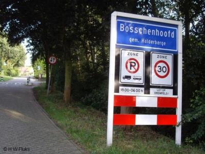 Bosschenhoofd is een dorp in de provincie Noord-Brabant, in de regio West-Brabant, en daarbinnen in de streek Baronie en Markiezaat, gemeente Halderberge. T/m 1996 viel het grotendeels onder de gemeente Hoeven, deels onder de gemeente Oudenbosch.