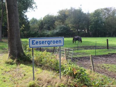Eesergroen is een dorp in de provincie Drenthe, gemeente Borger-Odoorn. T/m 1997 gemeente Borger.