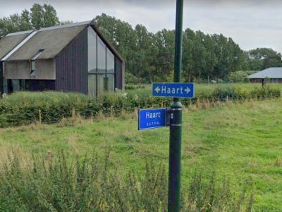 Haart is een buurtschap in de provincie Noord-Brabant, in de regio Noordoost-Brabant, gemeente (en streek) Land van Cuijk. T/m 30-4-1942 gemeente Beugen en Rijkevoort. Per 1-5-1942 over naar gemeente Boxmeer, in 2022 over naar gemeente Land van Cuijk.