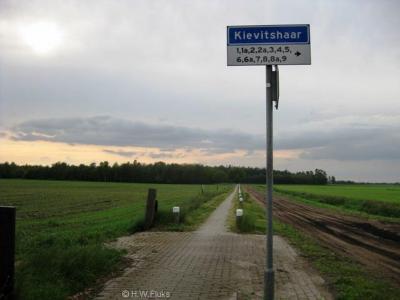 Kievitshaar is een buurtschap in de provincie Overijssel, gem. Hardenberg. De buurtschap valt onder het dorp Oud Avereest. De buurtschap heeft geen plaatsnaamborden, zodat je slechts aan de gelijknamige straatnaamborden kunt zien dat je er bent aangekomen