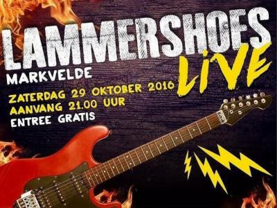 Het doel van Lammershoes Live in buurtschap Markvelde is om 3 of 4 veelbelovende bands uit de regio de kans te geven om voor een groter publiek te spelen en de bezoekers van het evenement op een spetterende muziekavond te trakteren. En dat nog gratis ook.