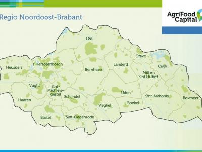Vóór de gemeentelijke herindelingen van 2017 telde de regio Noordoost-Brabant nog (deze) 19 gemeenten. De regio profileert zich als AgriFood Capital.