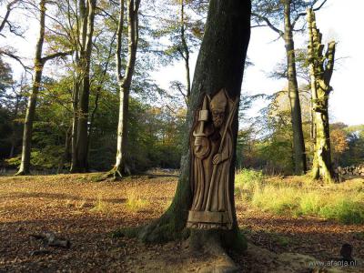 In oktober 2015 zijn in het kader van de jaarlijkse Landgoeddag door vijf 'woodcarvers' met kettingzagen tien 'sculpturen' in bomen gezaagd in het bos achter Hotel-Restaurant Het Witte Huis te Olterterp. Op de foto de sculptuur van Bonifatius.