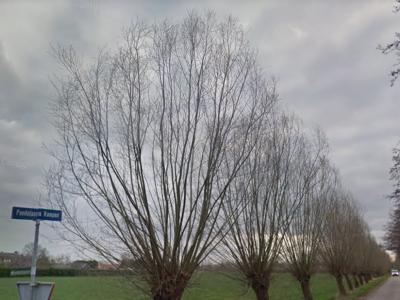 Pandelaarse Kampen is een buurtschap in de provincie Noord-Brabant, gemeente Gemert-Bakel. T/m 1996 gemeente Gemert. De buurtschap heeft geen plaatsnaamborden, zodat je slechts aan de gelijknamige straatnaambordjes kunt zien dat je er bent aangekomen.