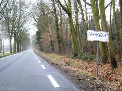 Papenvoort is een buurtschap in de provincie Drenthe, gemeente Aa en Hunze. T/m 1997 gemeente Rolde. De buurtschap ligt buiten de bebouwde kom en heeft daarom witte plaatsnaamborden.
