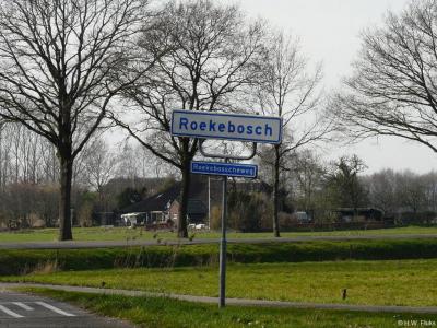 Roekebosch is een buurtschap in de provincie Overijssel, in de streek Kop van Overijssel, gemeente Steenwijkerland. T/m 1972 gemeente Wanneperveen. In 1973 over naar gemeente Brederwiede, in 2001 over naar gemeente Steenwijkerland.