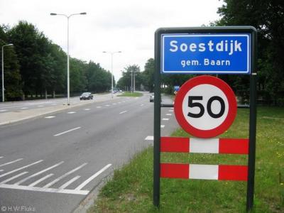 Soestdijk is een buurtschap en wijk in de provincie Utrecht, in de streken Eemland en Utrechtse Heuvelrug, in deels gemeente Soest, deels gemeente Baarn.