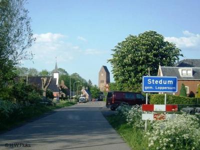 Stedum is een dorp in de provincie Groningen, in de streek Hoogeland, gemeente Eemsdelta. Het was een zelfstandige gemeente t/m 1989. In 1990 over naar gemeente Loppersum, in 2021 over naar gemeente Eemsdelta.