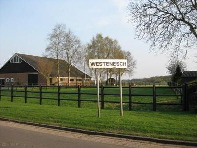 Het dorp Westenesch ligt formeel binnen de bebouwde kom van de stad Emmen, en heeft daarom - komend vanuit de stadskern - een wit i.p.v. een blauw plaatsnaambord.