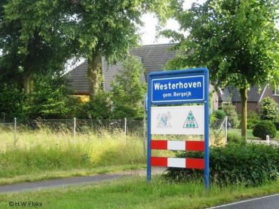 Westerhoven is een dorp in de provincie Noord-Brabant, in de regio Zuidoost-Brabant, en daarbinnen in de streek Kempen, gemeente Bergeijk. Het was een zelfstandige gemeente t/m 1996.