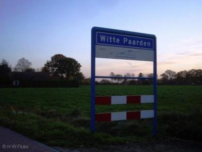 Witte Paarden is een buurtschap in de provincie Overijssel, in de streek Kop van Overijssel, gemeente Steenwijkerland. T/m 1972 gemeente Steenwijkerwold. In 1973 over naar gemeente Steenwijk, in 2001 over naar gemeente Steenwijkerland.