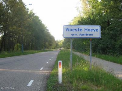 Woeste Hoeve is een buurtschap in de provincie Gelderland, in de streek Veluwe, gemeente Apeldoorn. De buurtschap valt grotendeels onder het dorp Hoenderloo, deels onder het dorp Beekbergen.